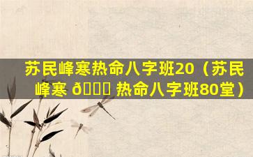 苏民峰寒热命八字班20（苏民峰寒 🐘 热命八字班80堂）